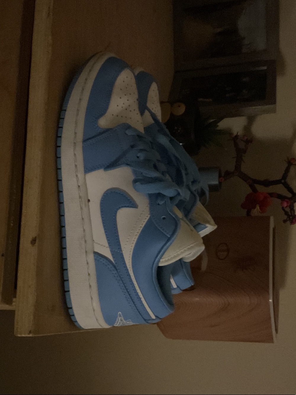 Nike Kids Low-Top Sneakers in Sky Blue and White